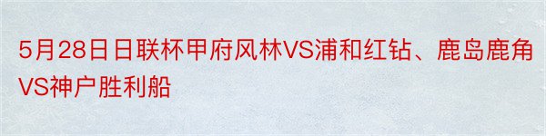 5月28日日联杯甲府风林VS浦和红钻、鹿岛鹿角VS神户胜利船
